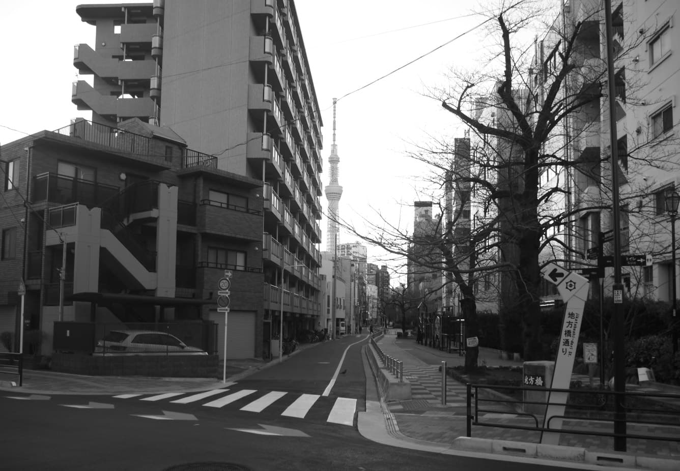 東京スカイツリーの完成から